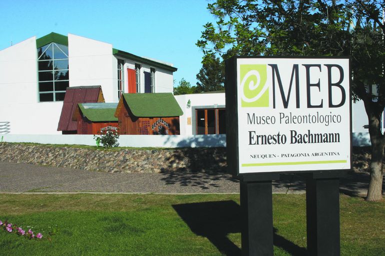 El dinosaurio será presentado en el Museo Bachmann de Villa El Chocón.