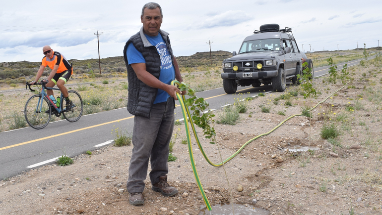Los árboles de la bicisenda zapalina tienen padrino
