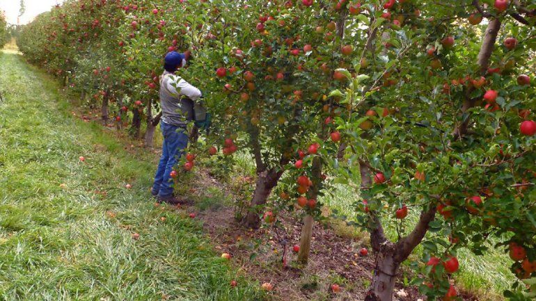 Los créditos están disponibles desde esta semana.