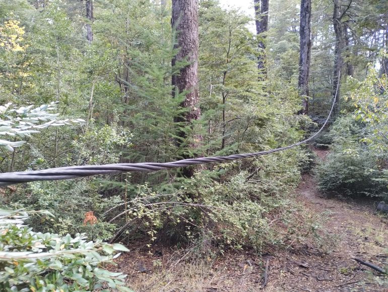 El cable con la conexión clandestina que alimenta a 100 casas mapuches pasa por el medio del bosque. El cable con la conexión clandestina que alimenta a 100 casas mapuches pasa por el medio del bosque.