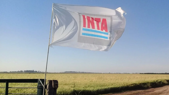 La motosierra avanza: ahora le toca al INTA y la IGJ
