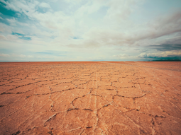 La agricultura regenerativa refuerza la resiliencia a los efectos del cambio climático. Foto: Tobias Jelskov/WEF
