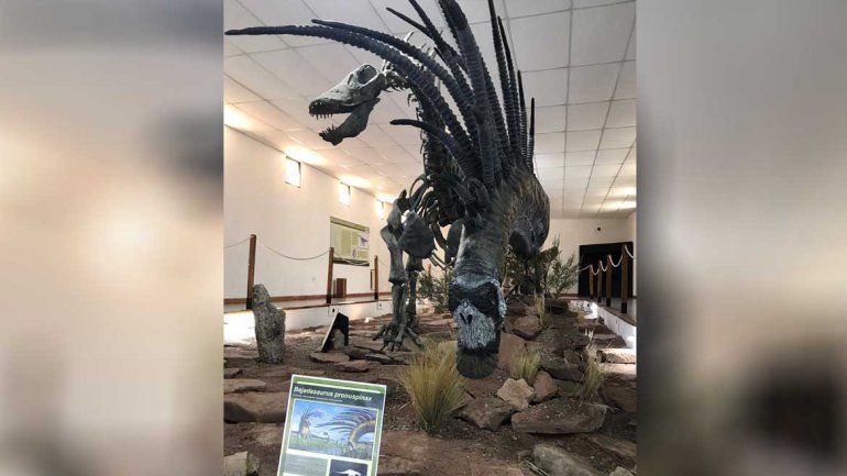 Descubrieron un nuevo dinosaurio en Neuquén, el Bajadasaurus