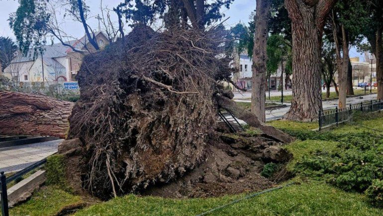 El temporal de viento destruyó la plaza San Martín de Chos Malal