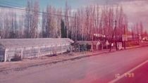 el cierre del vivero japones contado con imagenes: cinco decadas de verde y memoria en neuquen