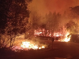 Los incendios forestales han consumido numerosas hectáreas en la cordillera Los incendios forestales han consumido numerosas hectáreas en la cordillera