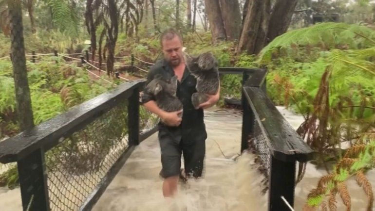 El diluvio del siglo llevó alivio a Australia tras los incendios