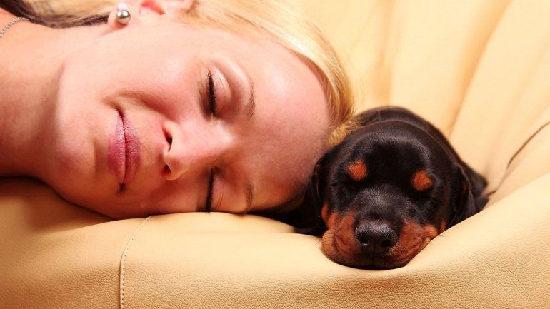 Las mujeres duermen mejor con un perrito que con su pareja