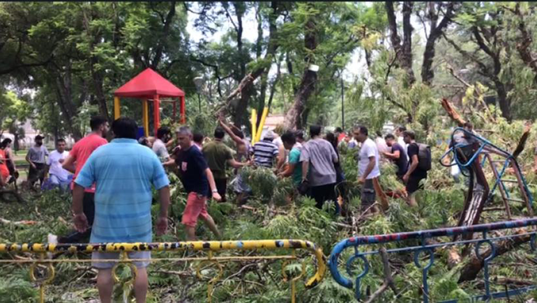 Cayó un árbol en un área de juegos: 5 niños heridos