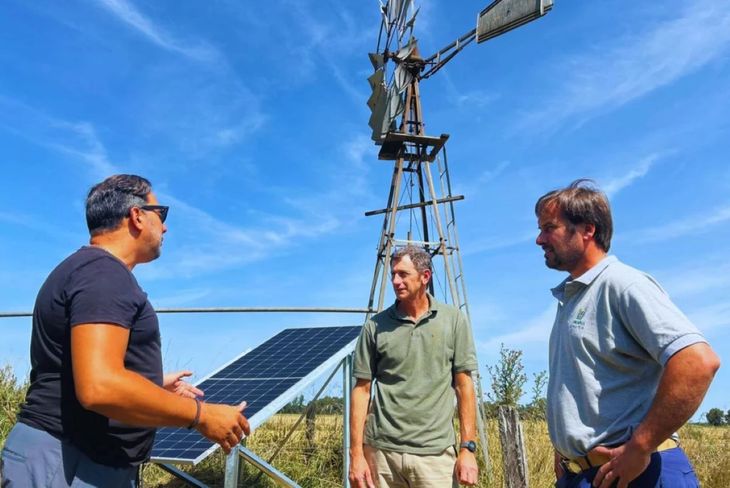 Tecnología y sombra: las nuevas estrategias para proteger el rodeo Tecnología y sombra: las nuevas estrategias para proteger el rodeo