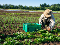 Se llevó a cabo la la Mesa Regional de Producción Orgánica en Neuquén. Foto: gentileza Se llevó a cabo la la Mesa Regional de Producción Orgánica en Neuquén. Foto: gentileza