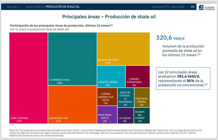 Vaca muerta y las áreas con mayor participación en la producción petrolera.