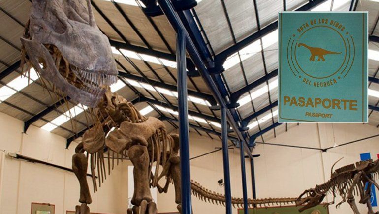 Cómo pueden obtener los chicos el certificado de exploradores paleontológicos