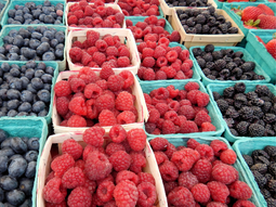 La Feria de Frutas Finas regresa a la plazoleta de Av. Argentina y San Martín. La Feria de Frutas Finas regresa a la plazoleta de Av. Argentina y San Martín.