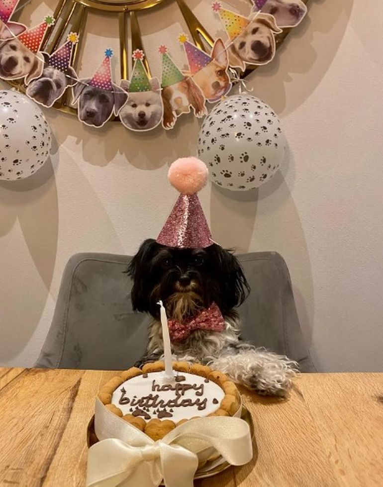 Pouppée es una perrita de raza Shih Tzu a la Evangelina Anderson considera su “hijita”. Pouppée es una perrita de raza Shih Tzu a la Evangelina Anderson considera su “hijita”.