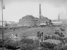 Una familia, 140.000 hectáreas y 7.000 empleos: así se construye un siglo de agroindustria. Foto: @comunidadledesma Una familia, 140.000 hectáreas y 7.000 empleos: así se construye un siglo de agroindustria. Foto: @comunidadledesma