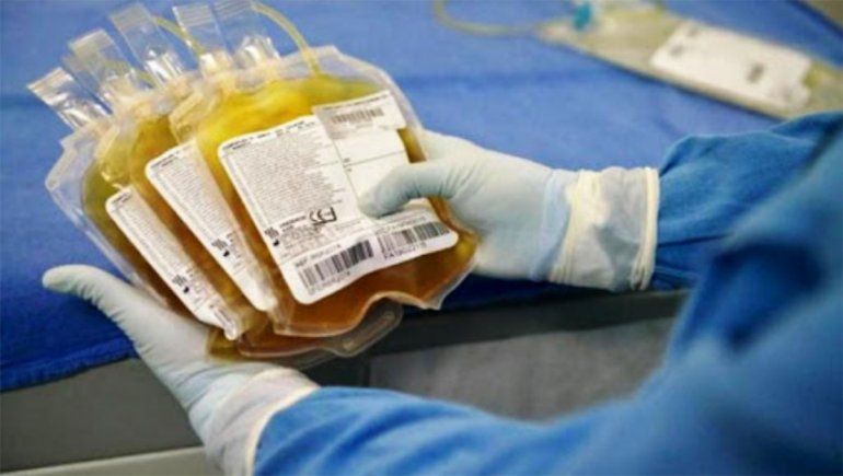 Aclaran que donar plasma no reduce los anticuerpos