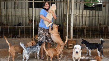 Una mujer en Indonesia rescata perros abandonados.