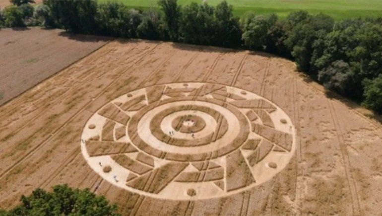 Alemania: aparecen agroglifos en una plantación de cereales