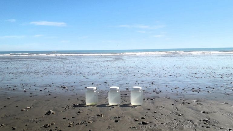 Muestras tomadas por científicos del CENPAT-CONICET