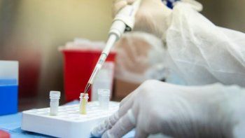 se sumaron cuatro casos nuevos de coronavirus se sumaron cuatro casos nuevos de coronavirus