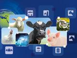 Convocan a referentes del agro argentino al Mundial de los influencers del sector. Foto:&nbsp;EuroTier 2024