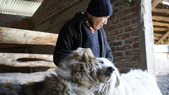 ELSA MARTÍNEZ-RURAL.jpg