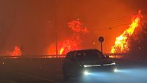 catastrofe en chile: confirman 16 muertos y miles de evacuados por incendios forestales en bio bio catastrofe en chile: confirman 16 muertos y miles de evacuados por incendios forestales en bio bio