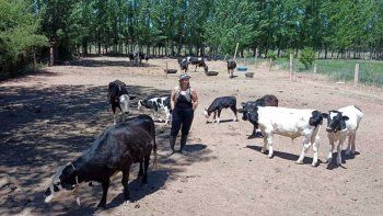Producción ganadera en tierra de petróleo. La Soñada. Gentileza.