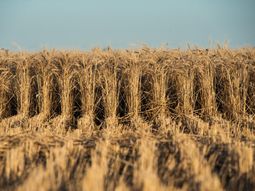 Al mismo tiempo, se incrementaría la recaudación fiscal a US$ 14.053 M (+50%) y el valor agregado a US$ 36.647 M (+51%) Al mismo tiempo, se incrementaría la recaudación fiscal a US$ 14.053 M (+50%) y el valor agregado a US$ 36.647 M (+51%)