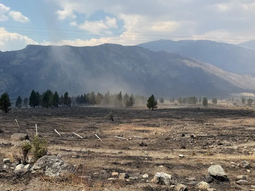 Tierra arrasada, los campos de la Patagonia cuando se apagan las llamas. Foto: Cadena 3 Tierra arrasada, los campos de la Patagonia cuando se apagan las llamas. Foto: Cadena 3