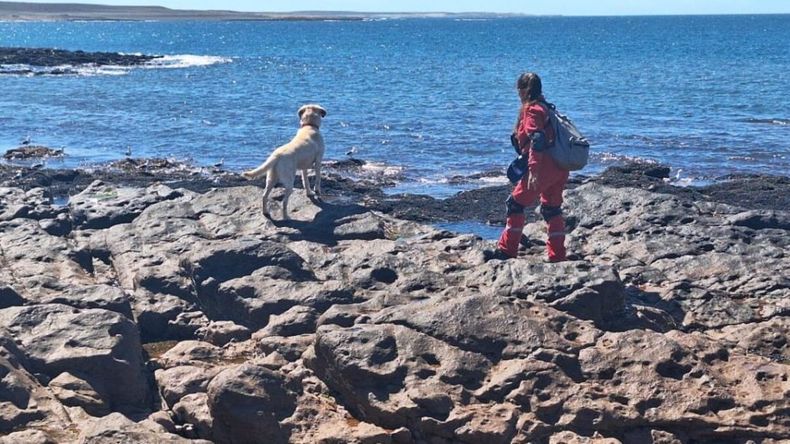 Buscan en la costa de Chubut a los jubilados de Comodoro Rivadavia desaparecidos. | LM Neuquen Buscan en la costa de Chubut a los jubilados de Comodoro Rivadavia desaparecidos.