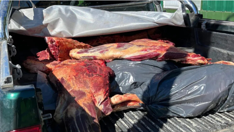 Decomisaron 220 kilos de carne bovina en Junín de los Andes