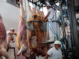 Marcha atrás con la medida. Trump busca bajar el precio de la carne en EE.UU.