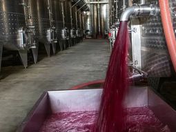 importacion de vino granel desde chile, ¿picardia empresaria? importacion de vino granel desde chile, ¿picardia empresaria?