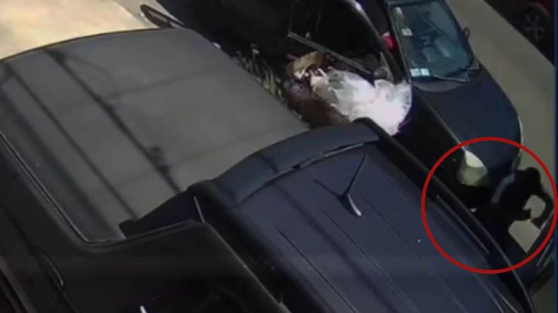 El insóltito intento de robo quedó registrada por las cámaras de seguirodad y rápidamente se viralizó. | LM Neuquen El insóltito intento de robo quedó registrada por las cámaras de seguirodad y rápidamente se viralizó.