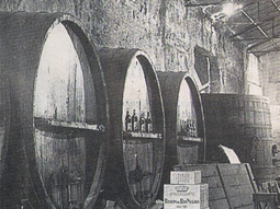 Allen, pionera de la vitivicicultura del Valle. Foto: proyectoallen. Allen, pionera de la vitivicicultura del Valle. Foto: proyectoallen.