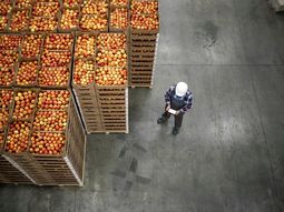 Los stocks de manzana en Europa caen. Una buena señal para el Valle de Río Negro y Neuquén. Los stocks de manzana en Europa caen. Una buena señal para el Valle de Río Negro y Neuquén.