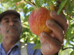 Competencia feroz: perfiles técnicos migran del agro al oil and gas por salarios hasta el doble. Competencia feroz: perfiles técnicos migran del agro al oil and gas por salarios hasta el doble.