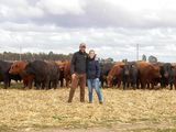 Luciano Correndo vendió un toro récord y analiza el crecimiento de la raza Angus en una región históricamente dominada por el Hereford. Luciano Correndo vendió un toro récord y analiza el crecimiento de la raza Angus en una región históricamente dominada por el Hereford.