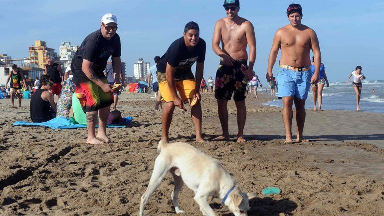 La intendencia de Montevideo prohibió animales domésticos en las playas.