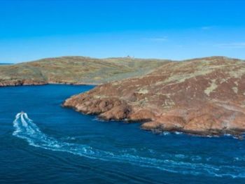 En la nueva reserva Patagonia Azul hay unas 60 islas e islotes donde anidan inumerbles especies de aves marinas. 