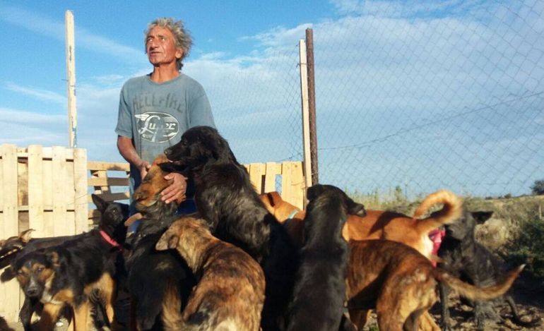 Oscar, el jubilado de Comodoro Rivadavia que rescata y cuida perros de la calle. Oscar, el jubilado de Comodoro Rivadavia que rescata y cuida perros de la calle.