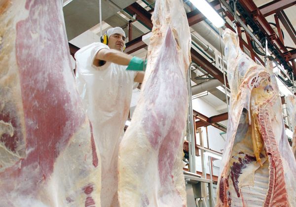 Productores rurales de Chubut, en alerta tras la decisión de Chile de bloquear el ingreso de carne patagónica. Productores rurales de Chubut, en alerta tras la decisión de Chile de bloquear el ingreso de carne patagónica.