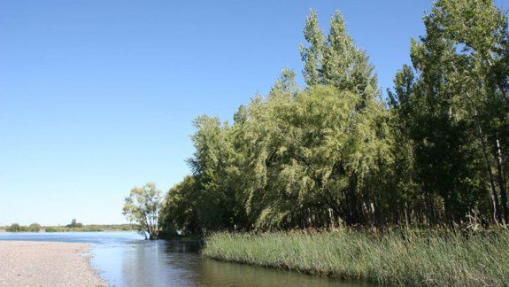 Un joven neuquino se ahogó al intentar cruzar el río Limay 
