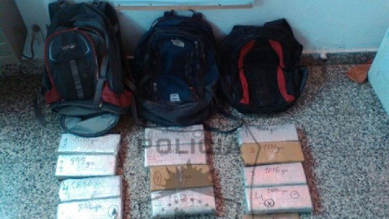 Parte del cargamento secuestrado en el procedimiento en Aluminé.