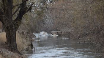 di tella realiza gestiones para reconstruir el puente de la isla jordan di tella realiza gestiones para reconstruir el puente de la isla jordan