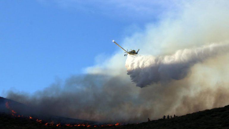 El fuego logró ser extinguido en horas de la tarde de ayer.