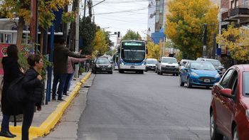 Sindicatos del transporte van al paro contra Javier Milei: ¿Qué pasará en Neuquén?