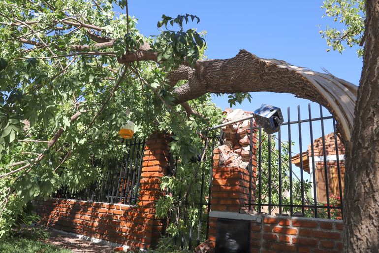 El temporal ocasionó varios daños en Cipolletti / Foto Anahí Cardena